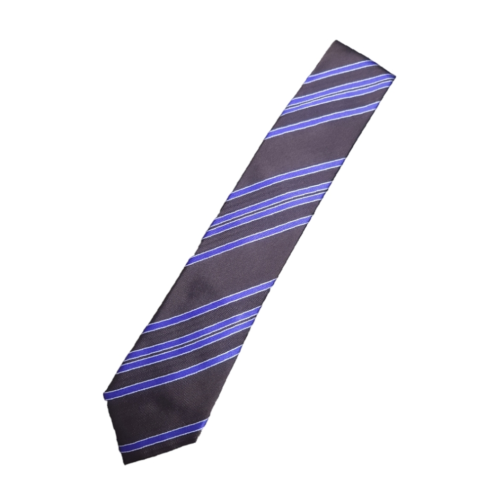 Egara Brown Purple Diagonal Striped Executive Office Silk Neck Tie